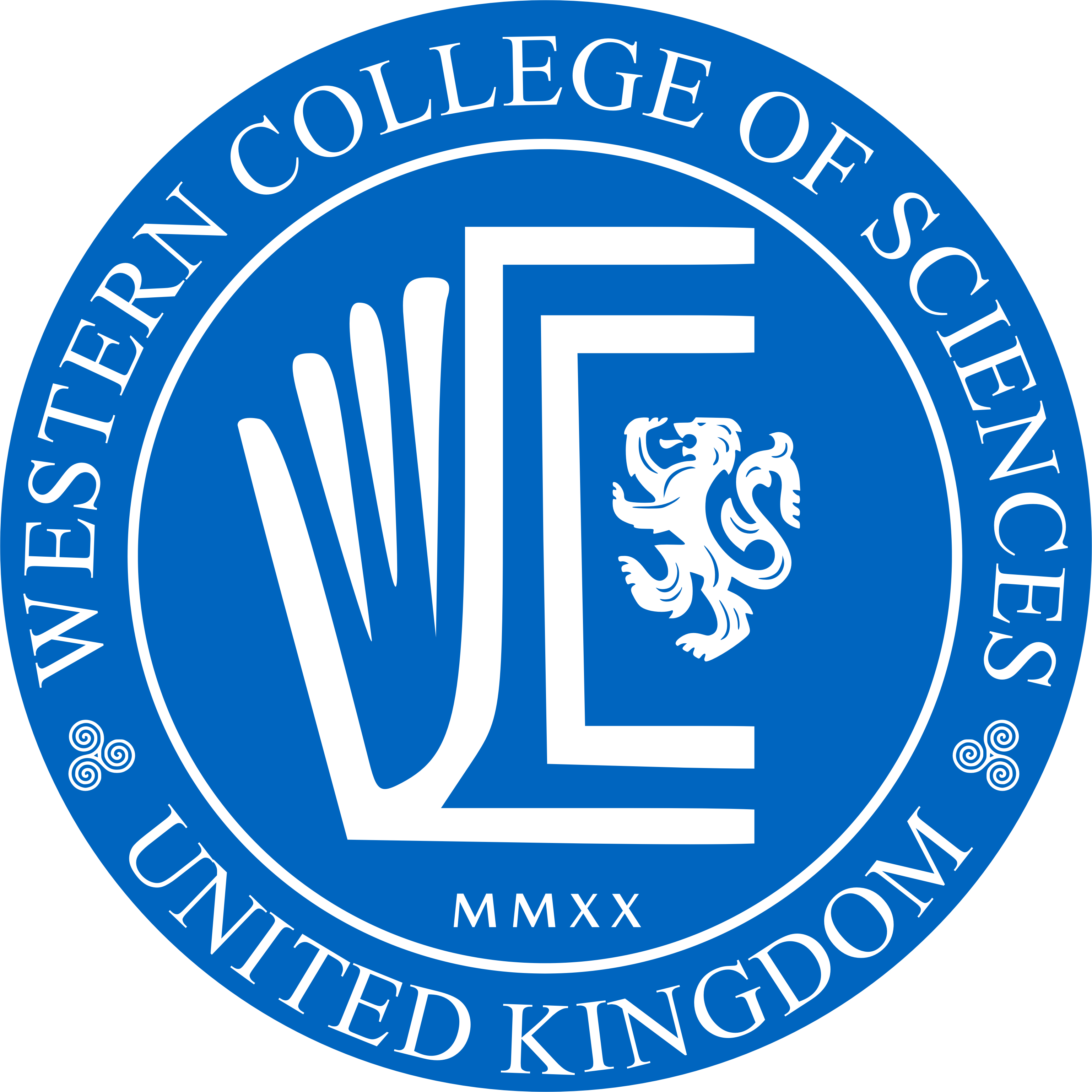 Organisation Logo